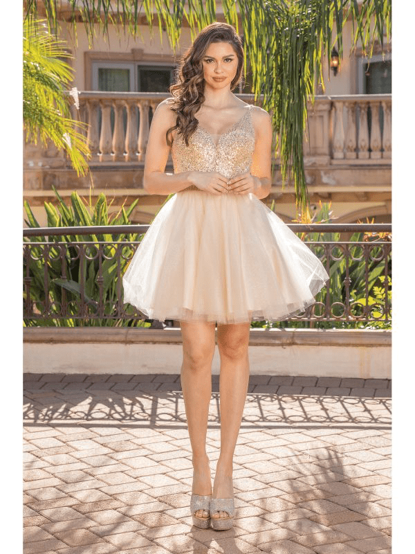 CQ20 - Mia & Andy Boutique
