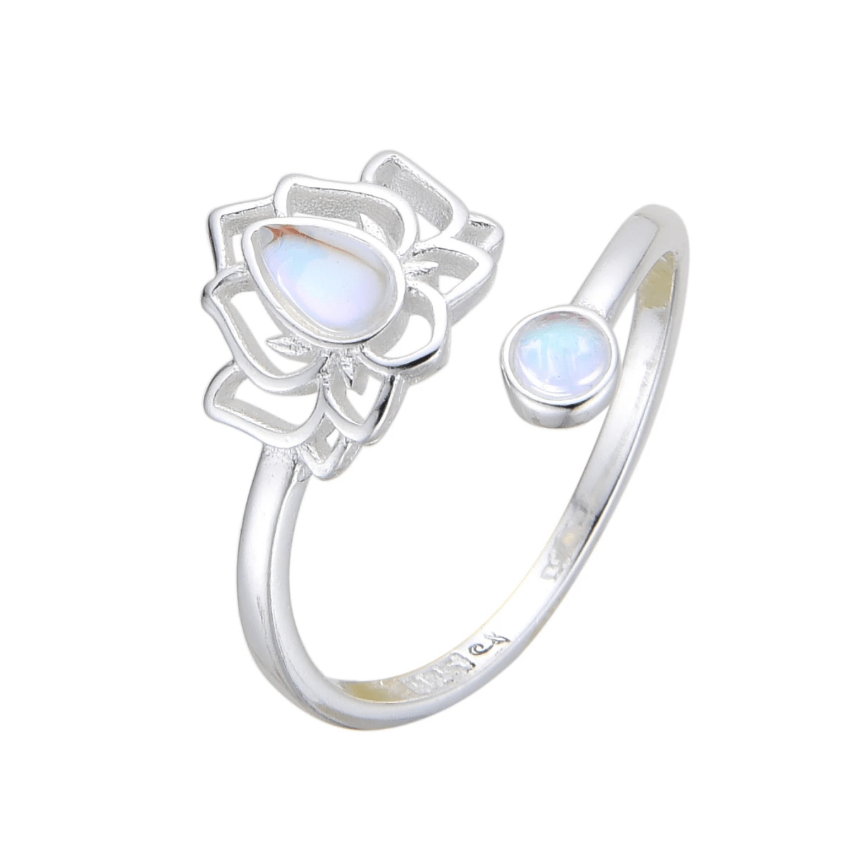 ID: 43979 - 73143 - Mia & Andy Boutique